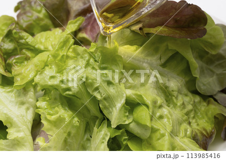 リーフレタス 野菜サラダ リーフレタス 野菜サラダ 113985416