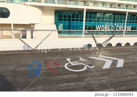 トイレの表示　男女トイレ　障がい者用トイレ　ピクトグラム 113986093