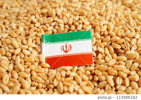 Iran flag on grain wheat, trade export and economy concept. Iran flag on grain wheat, trade export and economy concept. 113986382