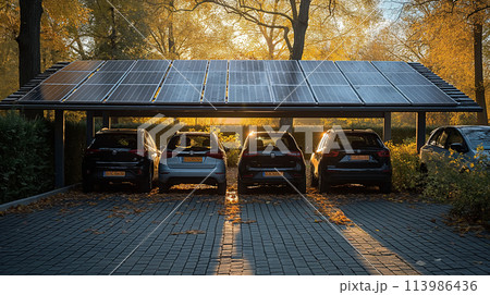 ソーラーパネルの屋根の駐車場 113986436