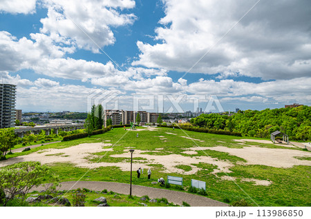 彩都西公園風景　大阪府茨木市 113986850