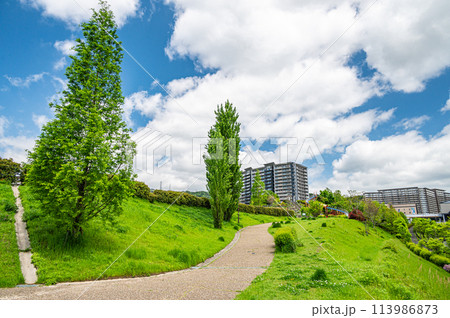 彩都西公園風景　大阪府茨木市 113986873