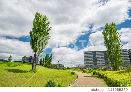 彩都西公園風景　大阪府茨木市 113986879