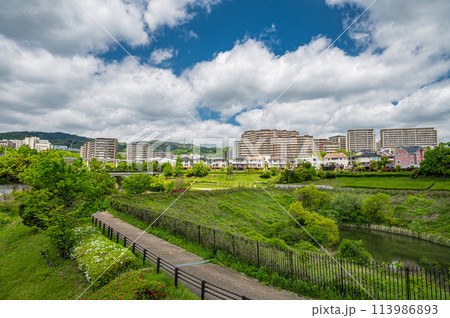 春の川合裏川緑地から眺めた彩都風景 大阪府茨木市 春の川合裏川緑地から眺めた彩都風景 大阪府茨木市 113986893