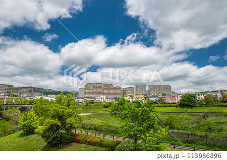 春の川合裏川緑地から眺めた彩都風景　大阪府茨木市　 113986896