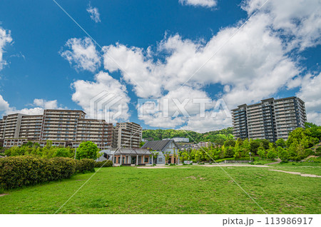 彩都西公園風景 大阪府茨木市 彩都西公園風景 大阪府茨木市 113986917