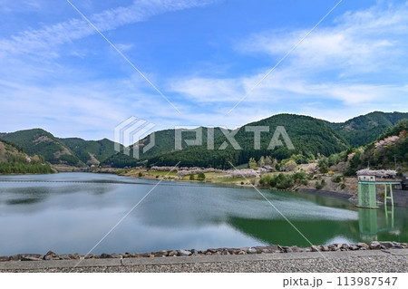 【滋賀】半円型の供水吐がある青土ダム。桜もたくさん咲き、とても美しいダム湖でした。 113987547