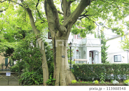 山手西洋館（春、山手234番館） 113988548