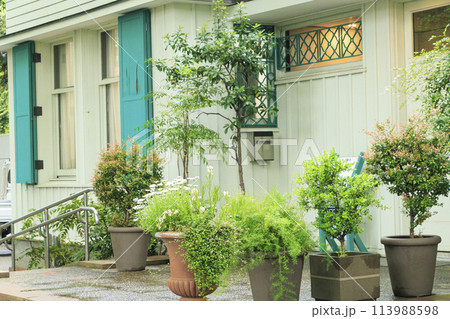 神奈川県横浜市中区山手エリスマン邸（春） 113988598