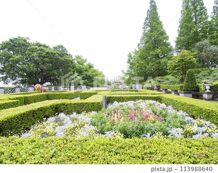 イタリア山庭園の春（横浜市山手西洋館・外交官の館・プラフ18番館） 113988640