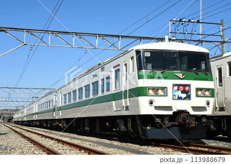 車両基地に停車する185系電車(モントレー踊り子表示) 車両基地に停車する185系電車(モントレー踊り子表示) 113988679
