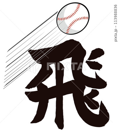 野球　ボールと飛文字 113988836