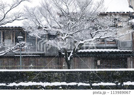 雪が降る城下町金沢　主計町茶屋街 113989067