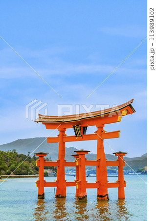 広島 嚴島神社　大鳥居 113989102
