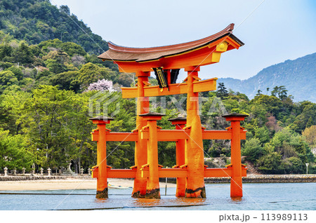 広島 嚴島神社 大鳥居 広島 嚴島神社 大鳥居 113989113