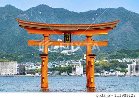 広島 嚴島神社 大鳥居 広島 嚴島神社 大鳥居 113989125