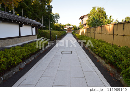 長松院　2023-7-30　＃61 113989140