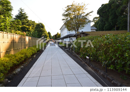 長松院　2023-7-30　＃64 113989144