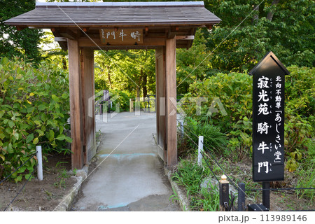 長松院　2023-7-30　＃66 113989146