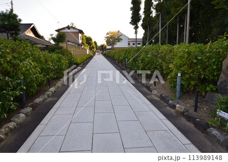 長松院　2023-7-30　＃67 113989148