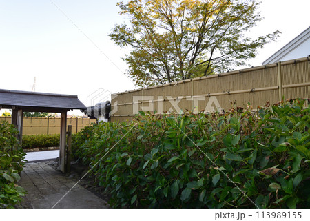 長松院　2023-7-30　＃70 113989155