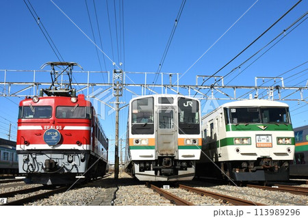 車両基地で並ぶ東北本線の列車（EF81形電気機関車・211系・185系） 113989296
