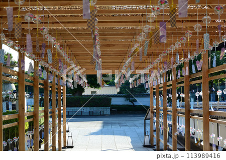 長松院 2023-7-30 #74 長松院 2023-7-30 #74 113989416