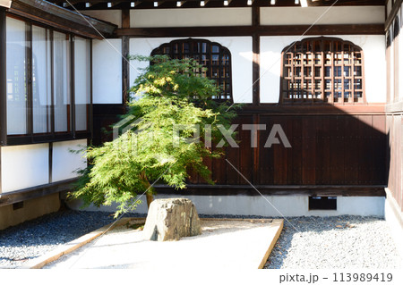 長松院　2023-7-30　＃76 113989419