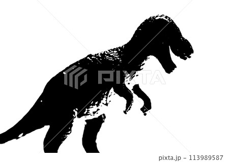 black dinosaur silhouette isolated on white background, model of T-rex toys 113989587