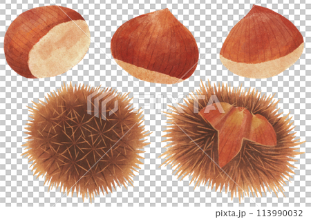 栗子/毛邊套裝水彩觸感 113990032