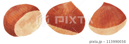 栗セット 水彩タッチ 栗セット 水彩タッチ 113990038