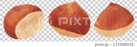 栗セット 水彩タッチ 栗セット 水彩タッチ 113990038