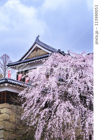 桜満開の上田城址公園 桜満開の上田城址公園 113990051