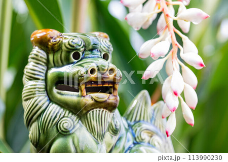 シーサーと月桃 113990230