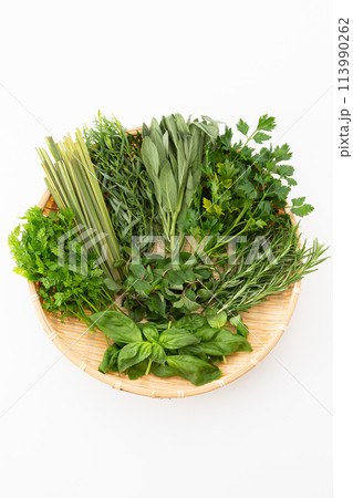 色々なハーブの集合 色々なハーブの集合 113990262