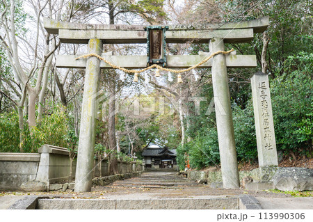 大阪府池田市綾羽の伊居太神社(呉服・穴織姉妹の伝説) 鳥居 大阪府池田市綾羽の伊居太神社(呉服・穴織姉妹の伝説) 鳥居 113990306