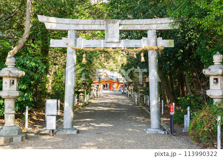 兵庫県川西市加茂遺跡の鴨神社(産土神) 鳥居 兵庫県川西市加茂遺跡の鴨神社(産土神) 鳥居 113990322