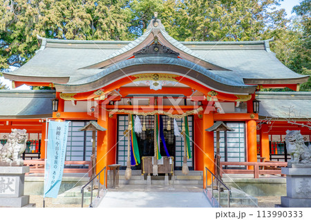 兵庫県川西市加茂遺跡の鴨神社(産土神) 拝殿 兵庫県川西市加茂遺跡の鴨神社(産土神) 拝殿 113990333