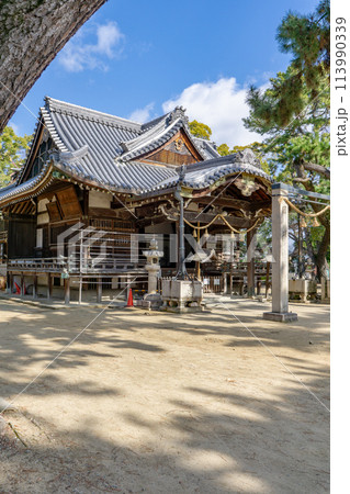 兵庫県伊丹市宮ノ前の猪名野神社（有岡城跡の一部）　拝殿（有形文化財） 113990339