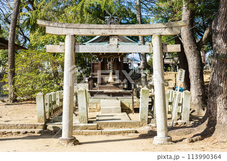 兵庫県伊丹市宮ノ前の猪名野神社　佐田彦神社 113990364