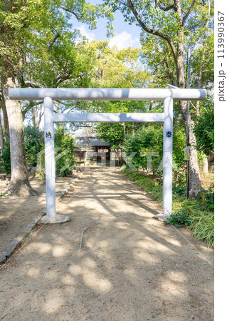 兵庫県伊丹市宮ノ前の猪名野神社　神明神社 113990367