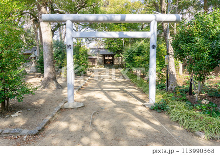 兵庫県伊丹市宮ノ前の猪名野神社 神明神社 兵庫県伊丹市宮ノ前の猪名野神社 神明神社 113990368