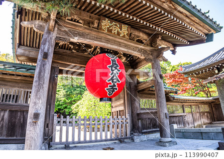 鎌倉の長谷寺 113990407