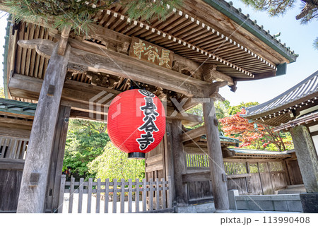 鎌倉の長谷寺 鎌倉の長谷寺 113990408