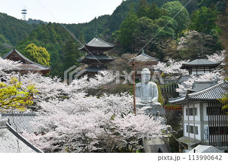 花見の名所 奈良県高取町の壺阪寺 113990642