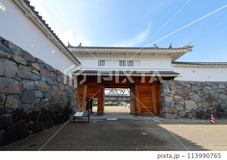 山梨県 甲府市 甲府城 山手御 山梨県 甲府市 甲府城 山手御 113990765