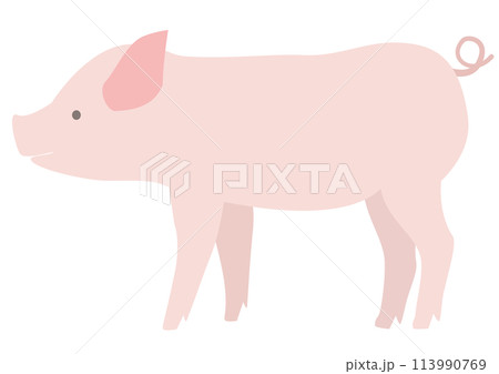 横から見た子ブタのシンプルなイラスト 113990769