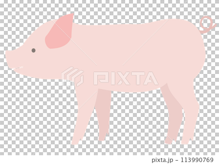 横から見た子ブタのシンプルなイラスト 113990769