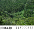 新緑が美しい山間の風景 113990852