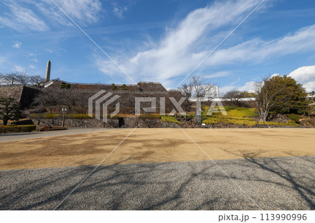 山梨県　甲府市　舞鶴城公園 113990996